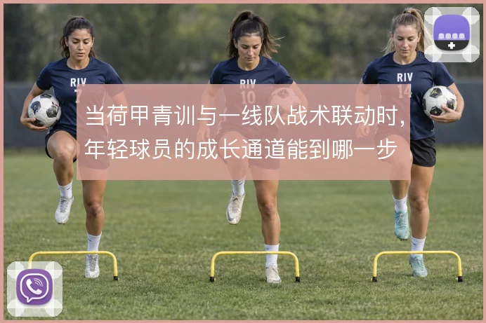 当荷甲青训与一线队战术联动时，年轻球员的成长通道能到哪一步