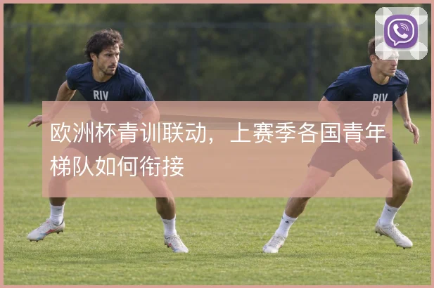 欧洲杯青训联动,上赛季各国青年梯队如何衔接
