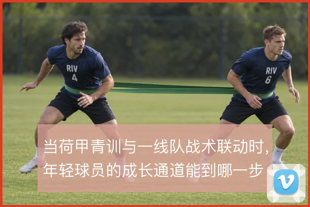 当荷甲青训与一线队战术联动时，年轻球员的成长通道能到哪一步